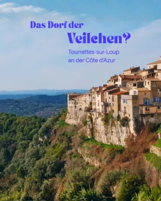 Ein Dorf voller Veilchen 💜 Tourrettes-sur-Loup liegt oberhalb des Loup und gehört zu den besonderen Orten im Hinterland der Côte d’Azur. Tourrettes-sur-Loup thront malerisch auf einem Felsvorsprung und begeistert mit verwinkelten Gassen, blumengeschmückten Treppen, alten Natursteinhäusern und kleinen Ateliers. Kein Wunder, dass Künstler und Kunsthandwerker den Ort schon vor Jahrzehnten für sich entdeckt haben. 🎨
Bekannt ist das Dorf vor allem für seine Veilchen. Seit über 150 Jahren werden sie hier angebaut. Deshalb trägt Tourrettes-sur-Loup auch den Namen „Cité des Violettes“. Anfang März feiert das Dorf seine berühmte Blüte bei der Fête des Violettes.
Wer die Côte d’Azur von einer anderen Seite kennenlernen möchte, sollte Tourrettes-sur-Loup unbedingt einplanen.
🧳Jetzt Ihre Reise in der Côte d’Azur planen: das-beste-in-frankreich.de/provence
#dasbesteinfrankreich #tourrettessurloup #cotedazur #südfrankreich #frankreichreise